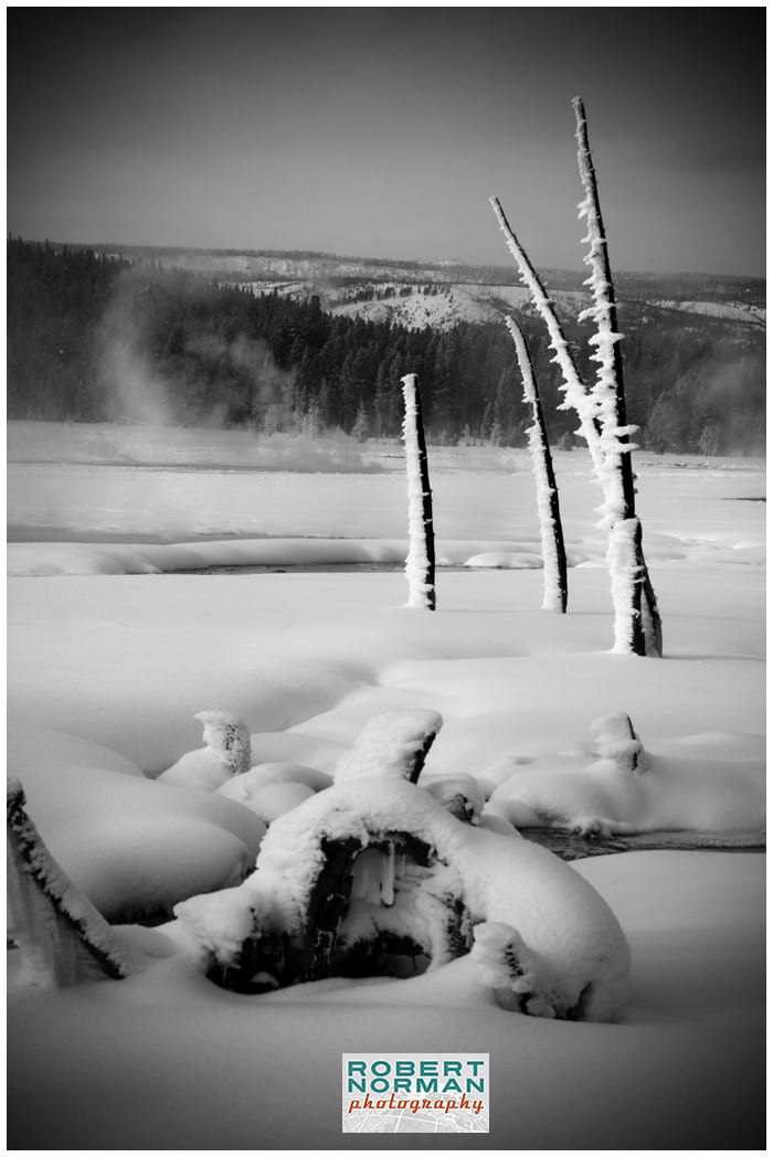 yellowstone-national-park-in-winter-DLWS-Moose-Peterson-Joe-McNally-snow